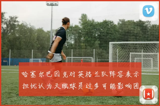 哈塞尔巴因克对英格兰队阵容表示担忧认为天赋球员过多可能影响团队合作