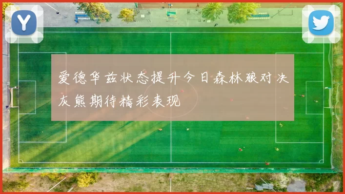 爱德华兹状态提升今日森林狼对决灰熊期待精彩表现