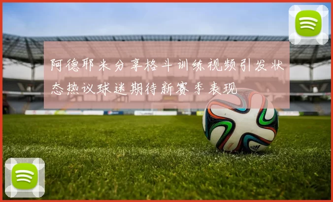 阿德耶米分享格斗训练视频引发状态热议球迷期待新赛季表现
